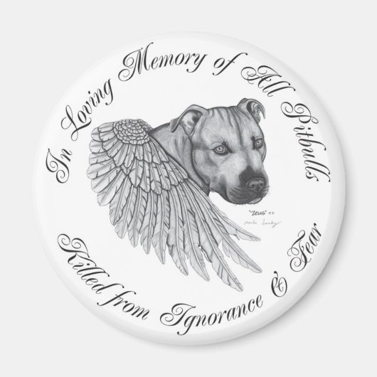 Aimant Zeus angel (Devant)