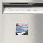 Aimant zGL011 GREENLAND, baie Nuuk, Nunaat Kalaallit, (In Situ (Lave-vaisselle))