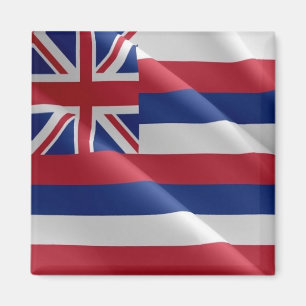 Aimant zHI002 HAWAII WAVING DRAPEAU, Océanie, réfrigérate