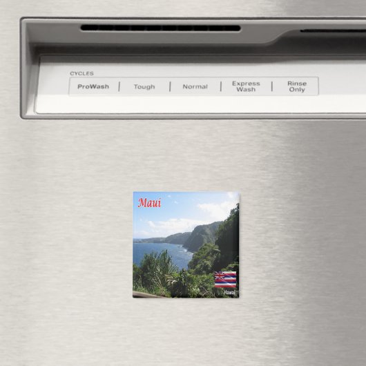 Aimant zHI004 MAUI, HAWAII, Vue aérienne, Océanie, Réfrig (In Situ (Lave-vaisselle))