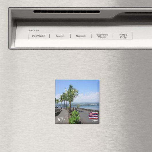 Aimant zHI012 HILO, HAWAII, Panorama, Océanie, Frigo (In Situ (Lave-vaisselle))