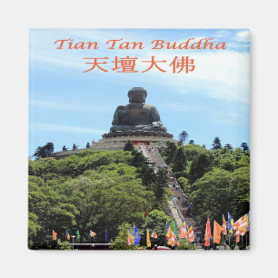 Aimant zHK021 TIAN TAN BUDDHA, Hong Kong, Asie, réfrigéra