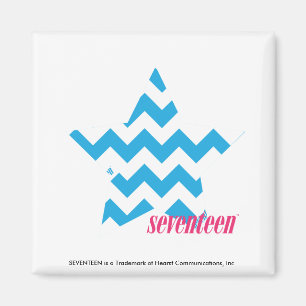 Aimant ZigZag Aqua 2