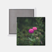 Aimant Zinnia — (Recto/Verso)