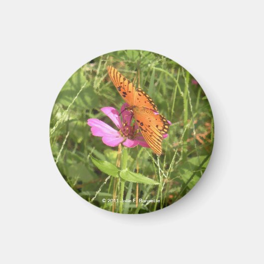 Aimant Zinnia & Papillon (Devant)