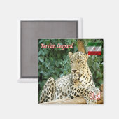 Aimant zIR006 PERSIAN LEOPARD, Iran, Asie, Fridge (Recto/Verso)
