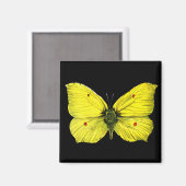 Aimant Zitronenfalter (Recto/Verso)