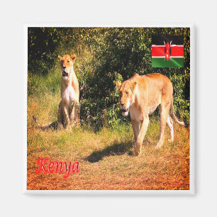 Aimant zKE005 KENYA, Lions, Afrique, Réfrigérateur