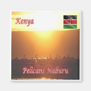 Aimant zKE020 KENYA, Pélicans Nakuru, Afrique, Réfrigérat