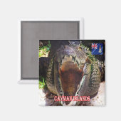 Aimant zKY008 ÎLES CAYMAN, Crocodile à Cayman, Réfrigérat (Recto/Verso)