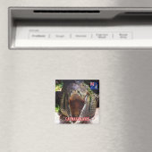 Aimant zKY008 ÎLES CAYMAN, Crocodile à Cayman, Réfrigérat (In Situ (Lave-vaisselle))