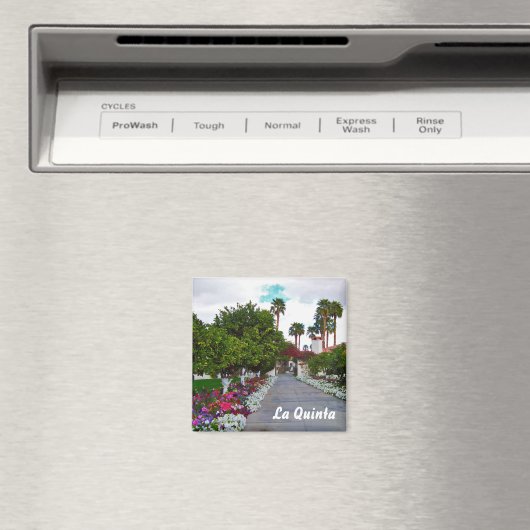 Aimant Zone California Palm Springs (In Situ (Lave-vaisselle))