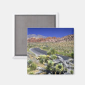 Aimant Zone nationale de conservation de Red Rock Canyon, (Recto/Verso)