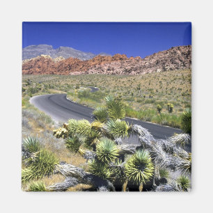 Aimant Zone nationale de conservation de Red Rock Canyon,