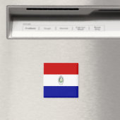 Aimant zPY001 PARAGUAY, Drapeau, Amérique, Frigo (In Situ (Lave-vaisselle))