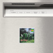 Aimant zST004 SAO TOME, Afrique, Réfrigérateur (In Situ (Lave-vaisselle))