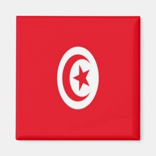 Aimant zTN001 TUNISIE, Drapeau, Afrique, Réfrigérateur