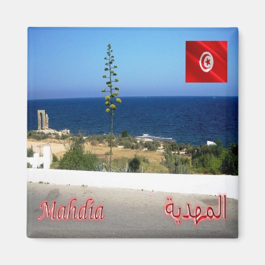 Aimant zTN011 MAHDIA, Tunisie, Afrique, réfrigérateur (Devant)
