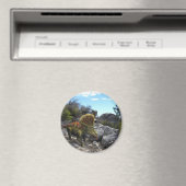 Aimant Zuniceratops Dinosaur (In Situ (Lave-vaisselle))