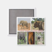 Aimant zZA027 AFRIQUE DU SUD, LE GROS 5 du réfrigérateur  (Recto/Verso)