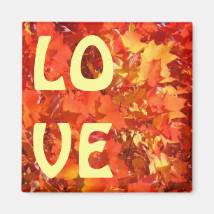 aimants AMOUR Orange Rouge Jaune Feuilles personna