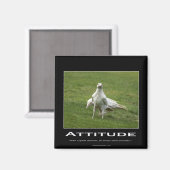 Aimants Corbeau Blanc (Recto/Verso)