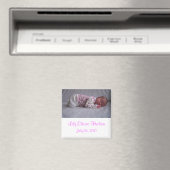 Aimants d'annonce de naissance de petite fille (In Situ (Lave-vaisselle))