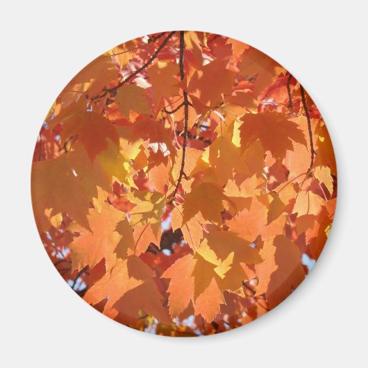 Aimants de feuilles d'automne Art d'automne Feuill (Devant)