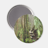 Aimants de forêt de grands séquoias californiens s (Recto/Verso)