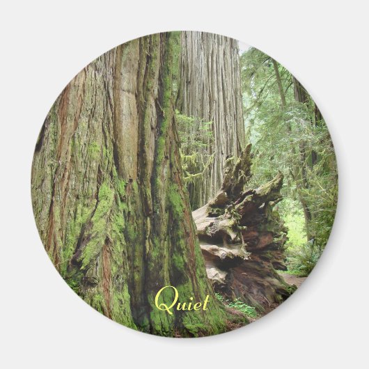 Aimants de forêt de grands séquoias californiens s (Devant)
