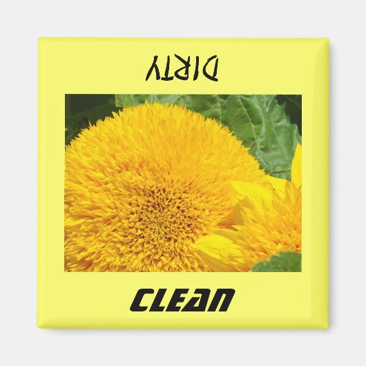 Aimants de lave-vaisselle Fleurs de tournesol prop (Devant)