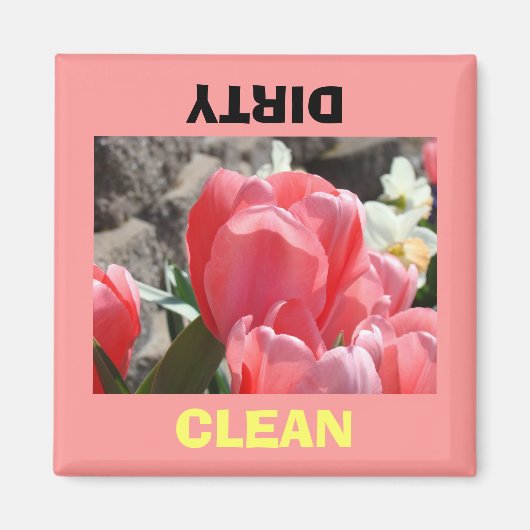 Aimants de lave-vaisselle Fleurs de Tulipes Roses (Devant)