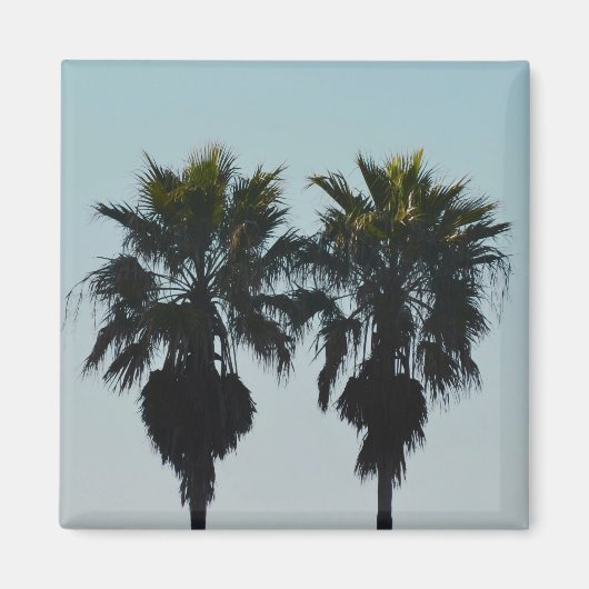 Aimants de palmiers d'été (Devant)