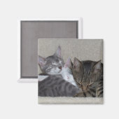 Aimants de réfrigérateur de chat (Recto/Verso)