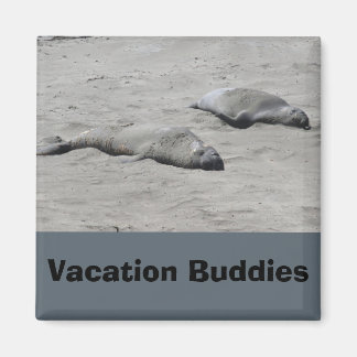 Aimants de vacances Magnet