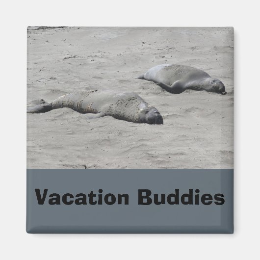 Aimants de vacances Magnet (Devant)