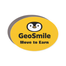 Aimants de voiture GeoSmile
