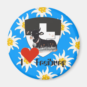 Aimants Fribourg Suisse