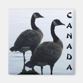 Aimants frigorifiques Canada Goose Magnet Canada (Devant)