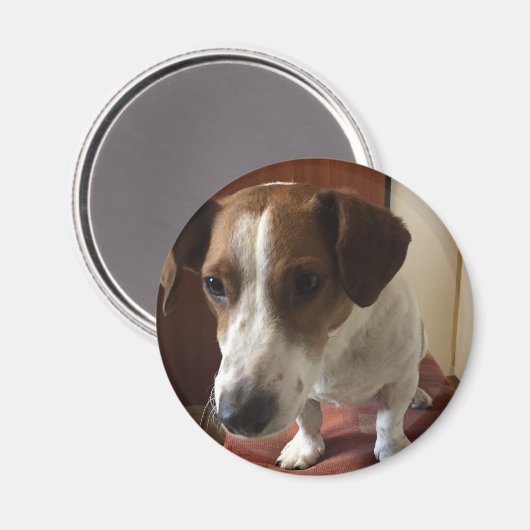 Aimants personnalisés (Recto/Verso)