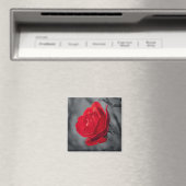 Aimants Rose Rouge (In Situ (Lave-vaisselle))