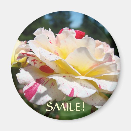 AIMANTS SOURIRES Cadeaux de Bureau Aimant Roses Ca (Devant)