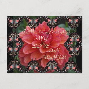 AIME LES AILES ! Carte postale