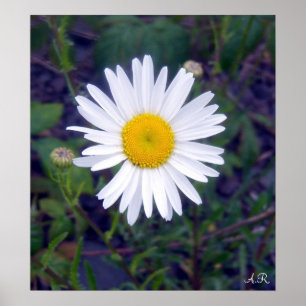 Aime-Moi, Aime-Moi Pas Poster