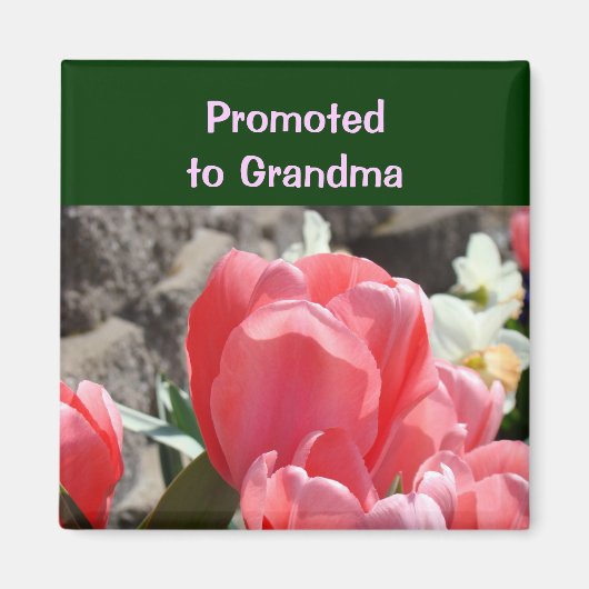 Aimée Grand-mère aimant Fleurs de Tulipe Rose (Devant)