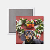 Aimer aimant Dachsund (Recto/Verso)