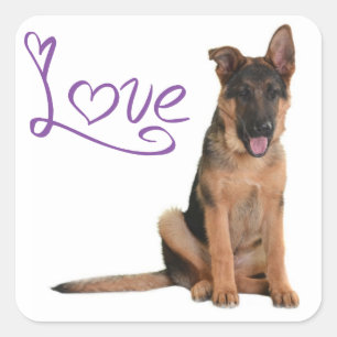 Aimer Allemand Berger Chien Chien Chien Stickers