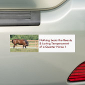 Aimer Belle Quarter Sticker Cheval Bumper (En voiture)