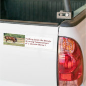 Aimer Belle Quarter Sticker Cheval Bumper (Sur camion)