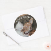 Aimer Bite Kitty Et Sticker De Chiot (Enveloppe)